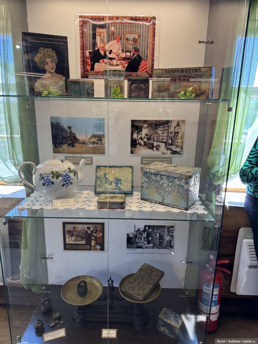 Музей Тальцы и принц-лягух Creen Ray. 1 часть