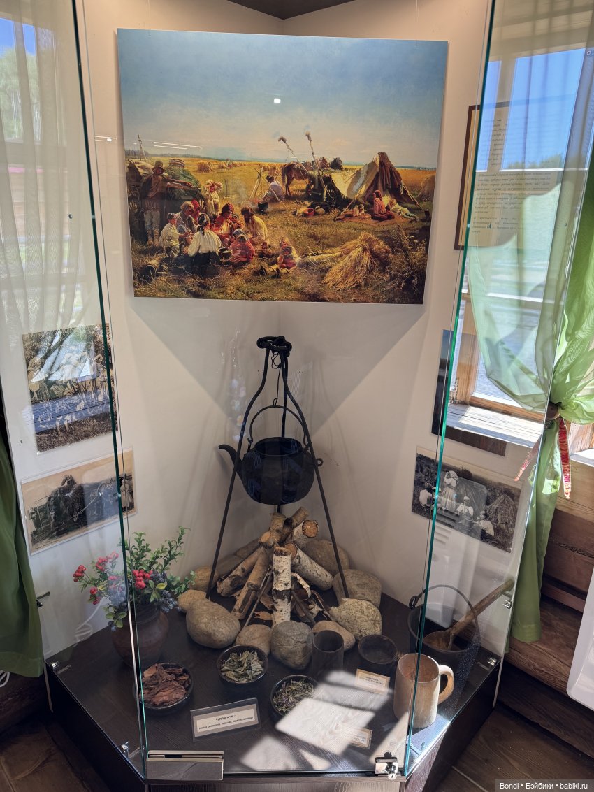 Музей Тальцы и принц-лягух Creen Ray. 1 часть