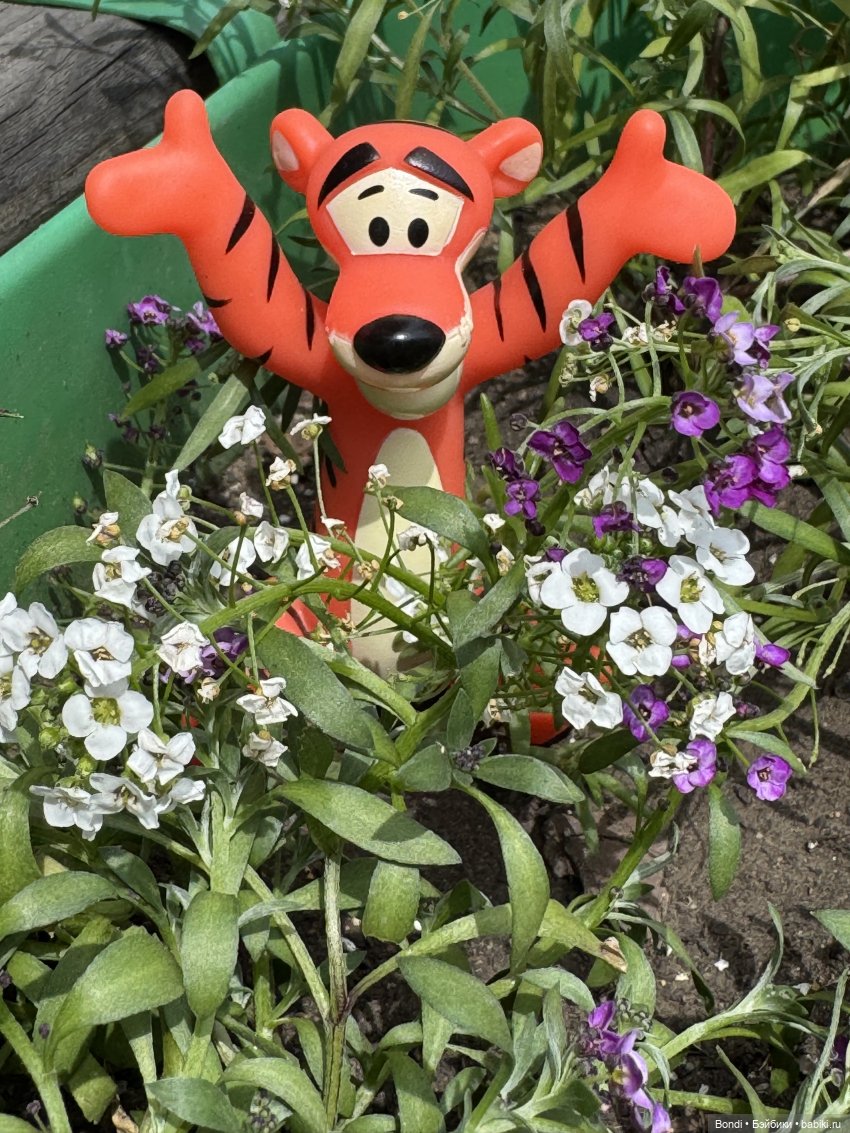 Тигруля и Львенок — Интересные игрушки и фигурки (разное): редкие (фото 4)