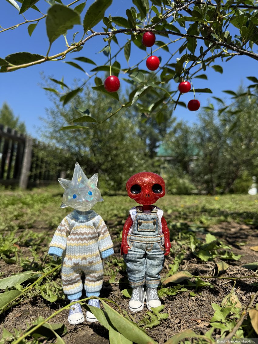 Маленький сад Лилий у моей мамули🤗🌷