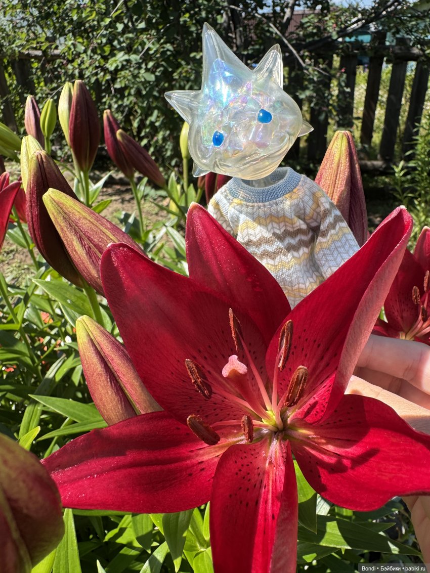 Маленький сад Лилий у моей мамули🤗🌷 (фото 2)