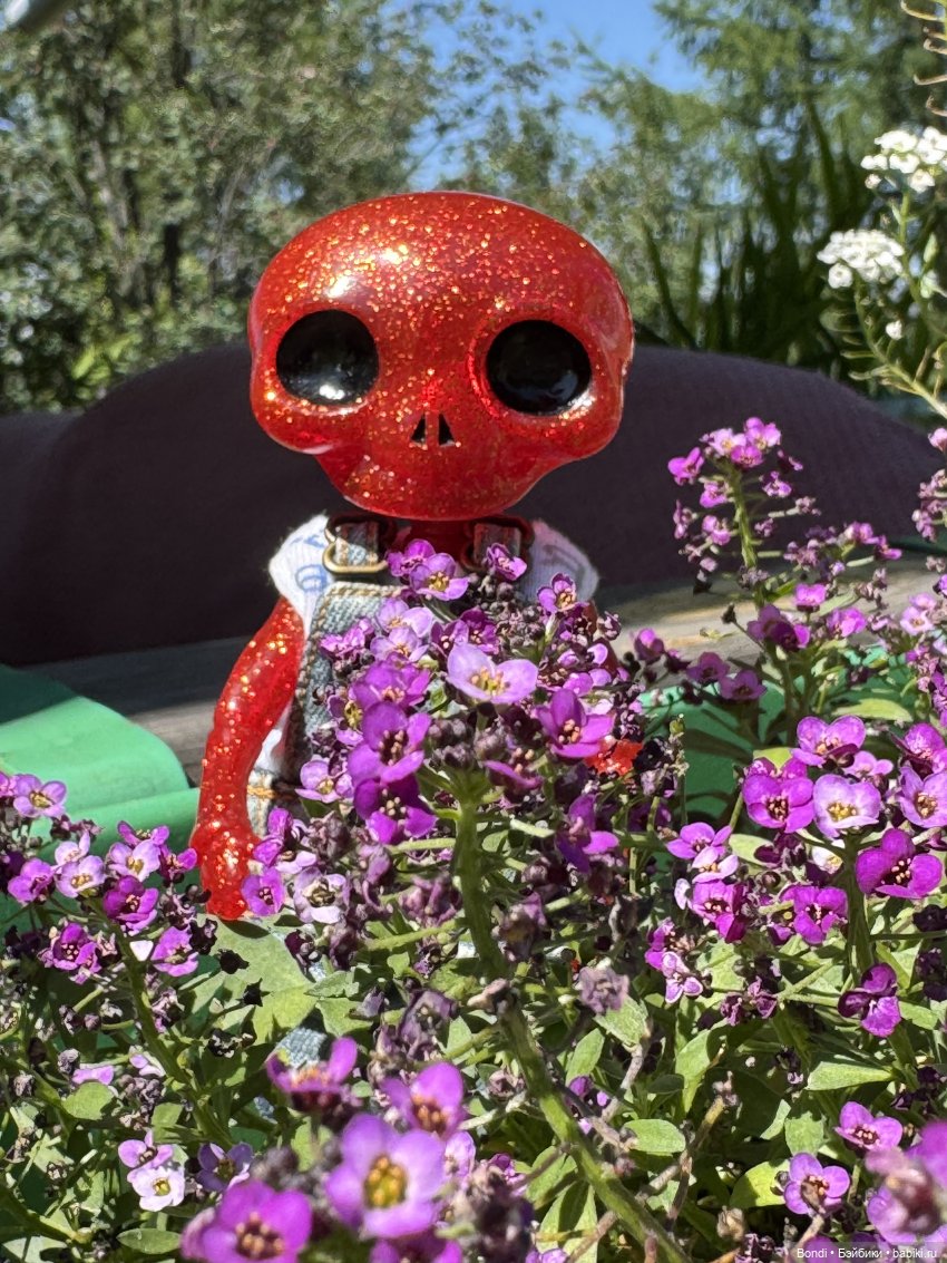 Маленький сад Лилий у моей мамули🤗🌷