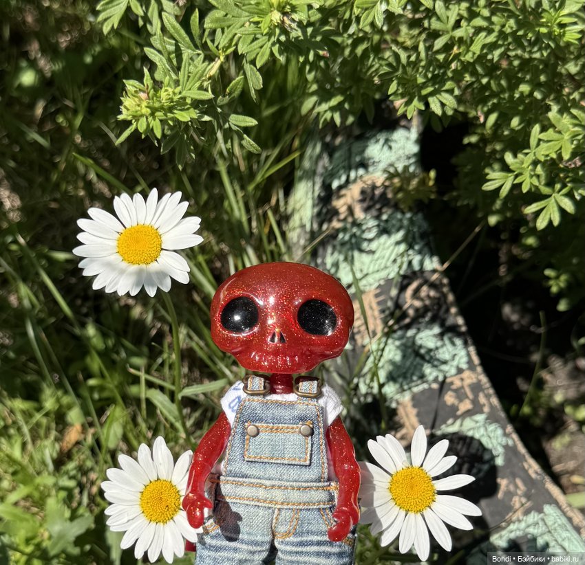 Маленький сад Лилий у моей мамули🤗🌷