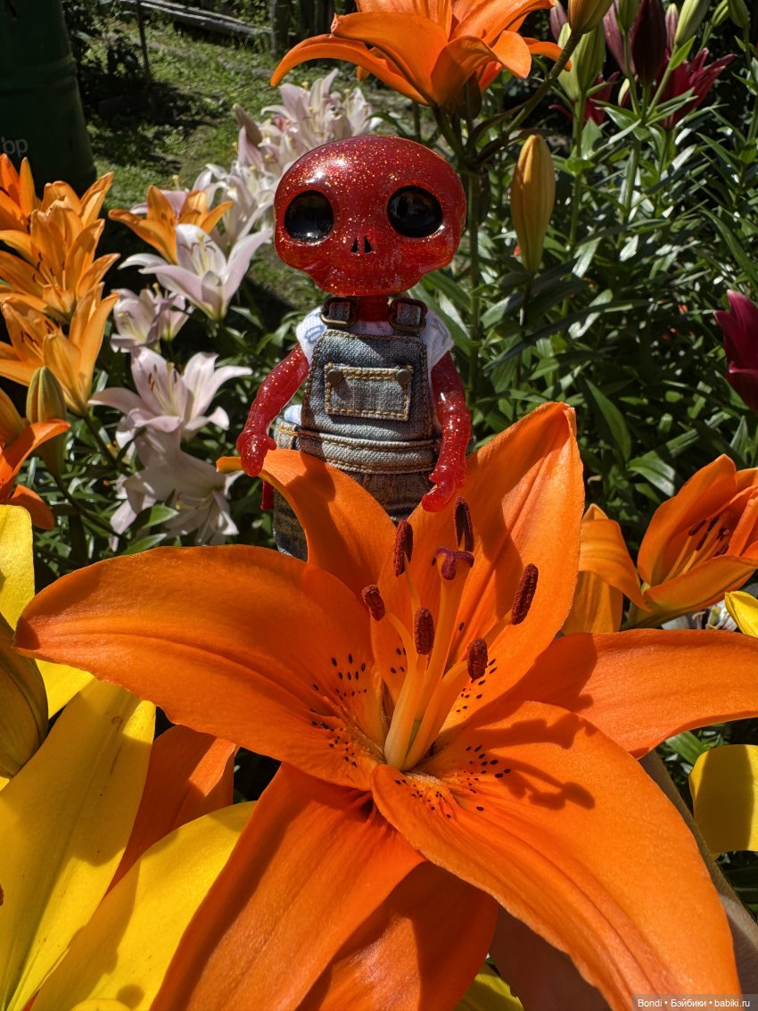 Маленький сад Лилий у моей мамули🤗🌷