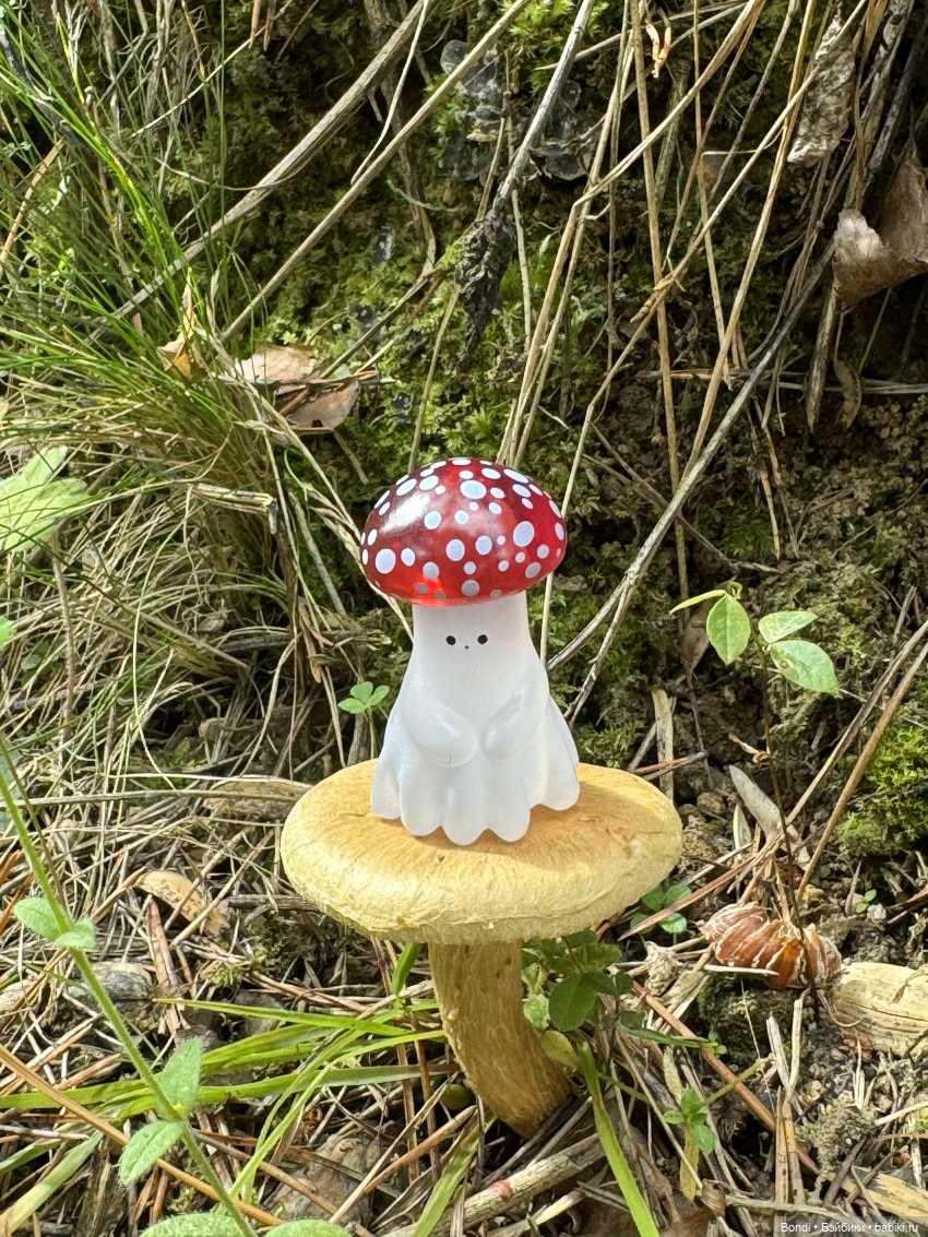 Мои мухаморчики 🍄 — Интересные игрушки и фигурки (разное): редкие