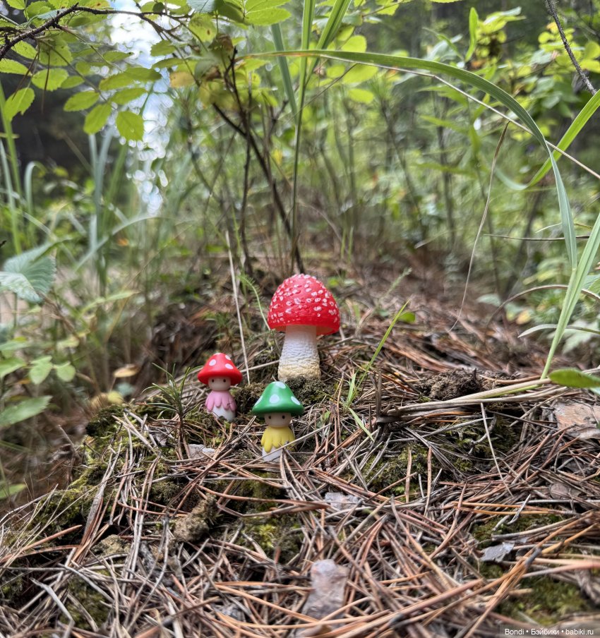 Мои мухаморчики 🍄 — Интересные игрушки и фигурки (разное): редкие