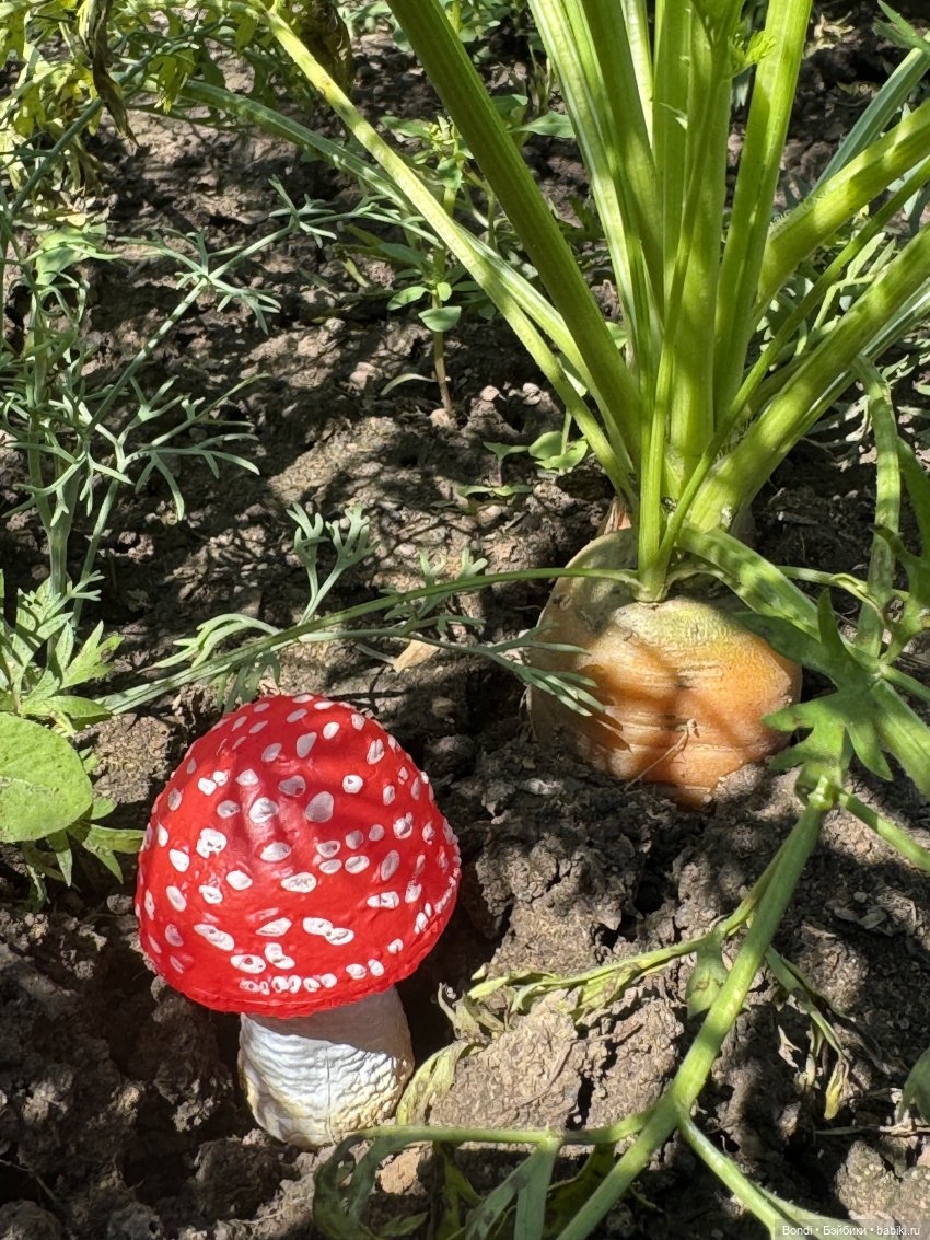 Мои мухаморчики 🍄 — Интересные игрушки и фигурки (разное): редкие