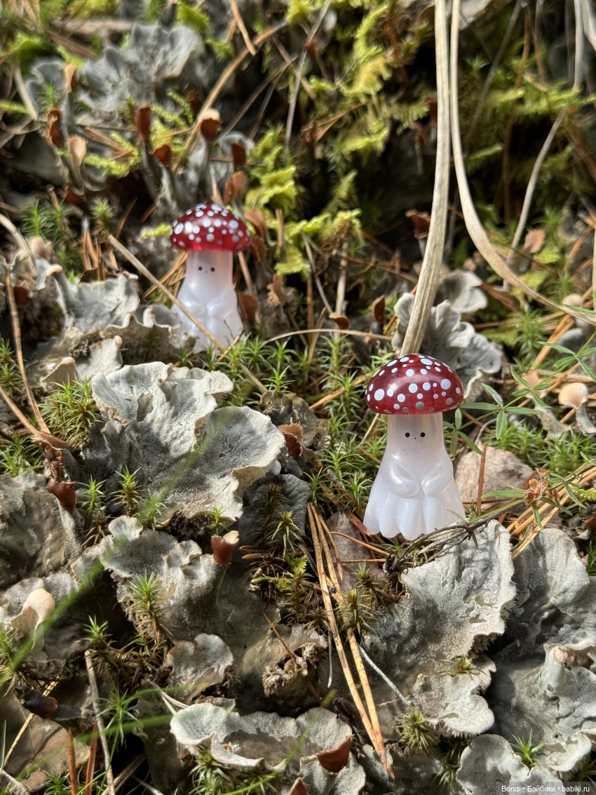 Мои мухаморчики 🍄 — Интересные игрушки и фигурки (разное): редкие