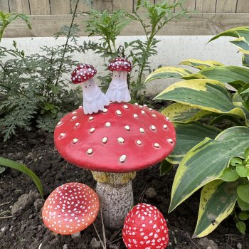 Мои мухаморчики 🍄.