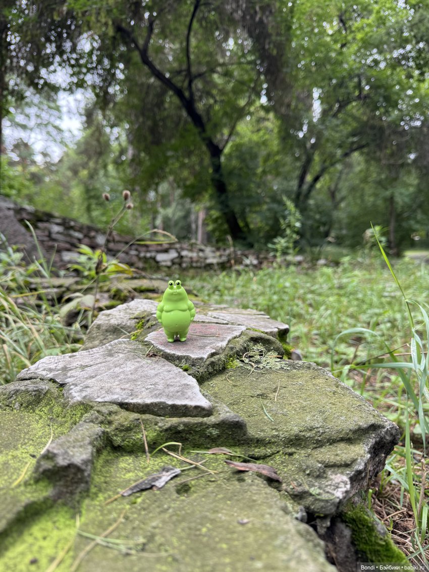 Я Шпинат, рад знакомству😊