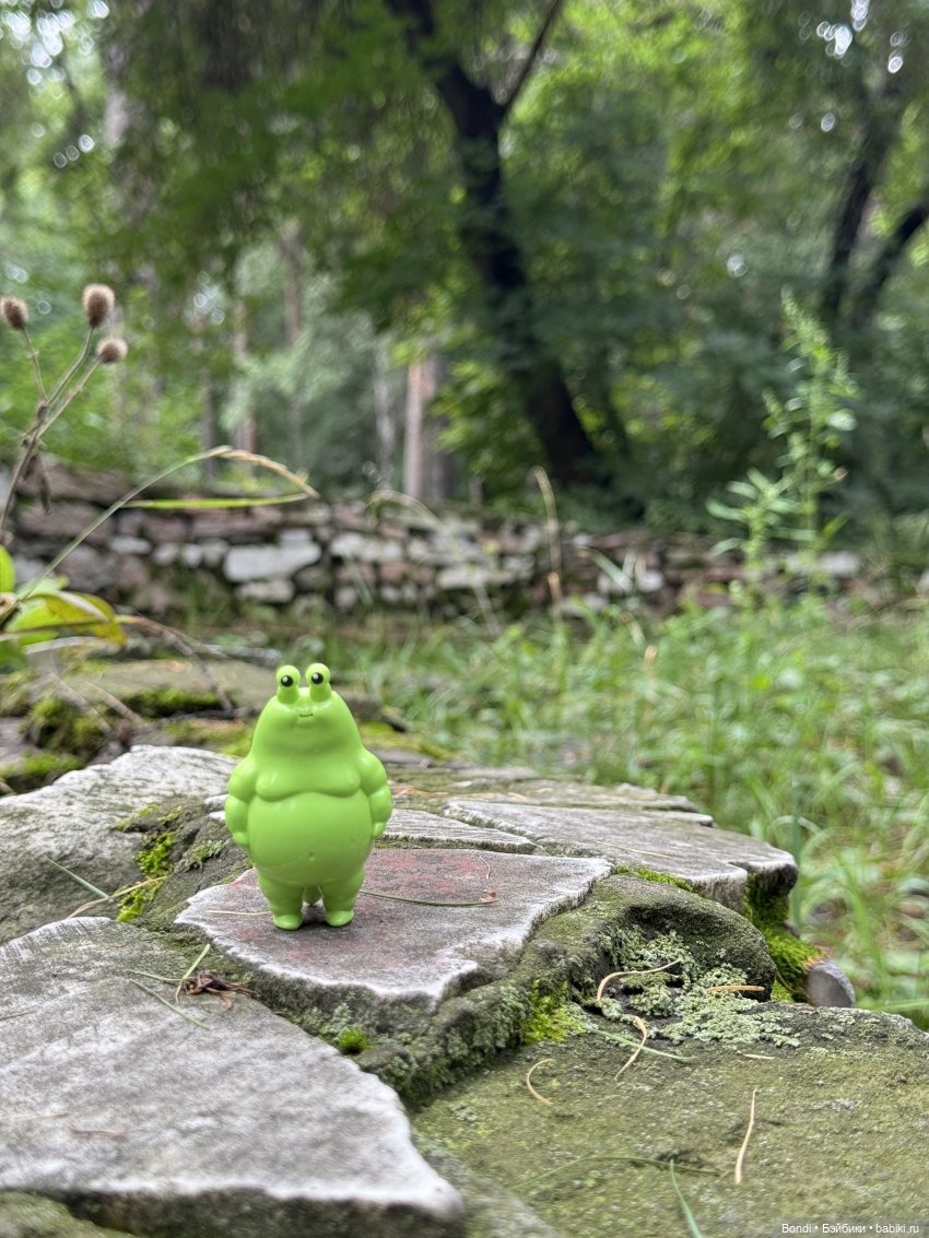 Я Шпинат, рад знакомству😊 (фото 9)