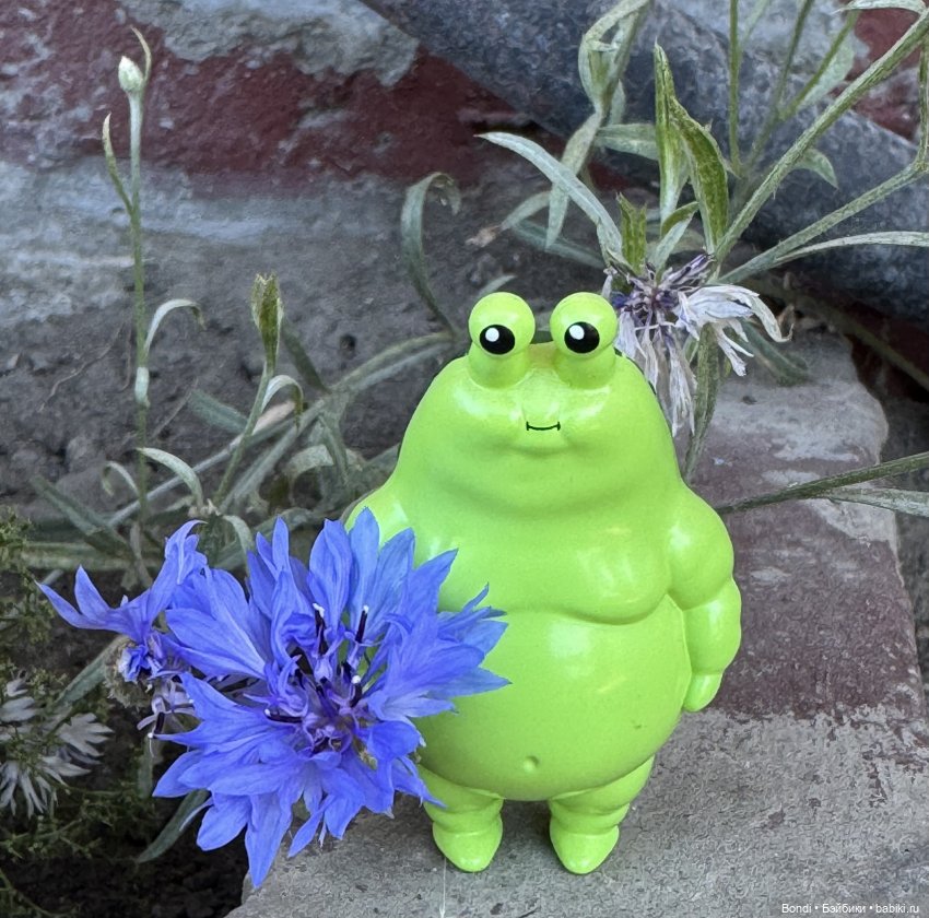 Я Шпинат, рад знакомству😊 (фото 7)