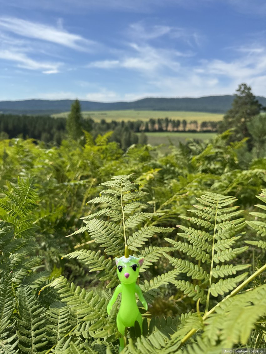 Прогулка с новенькими от studiо uoo в лесу (фото 8)