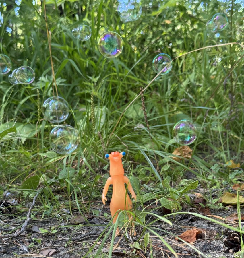 Прогулка с новенькими от studiо uoo в лесу (фото 5)