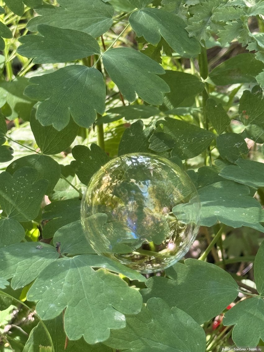 Прогулка с новенькими от studiо uoo в лесу