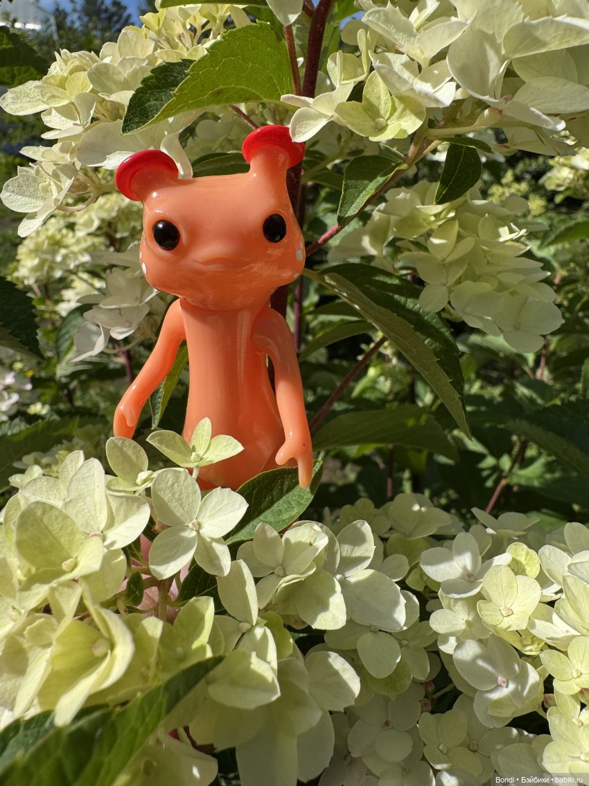 Прогулка с новенькими от studiо uoo в лесу (фото 6)