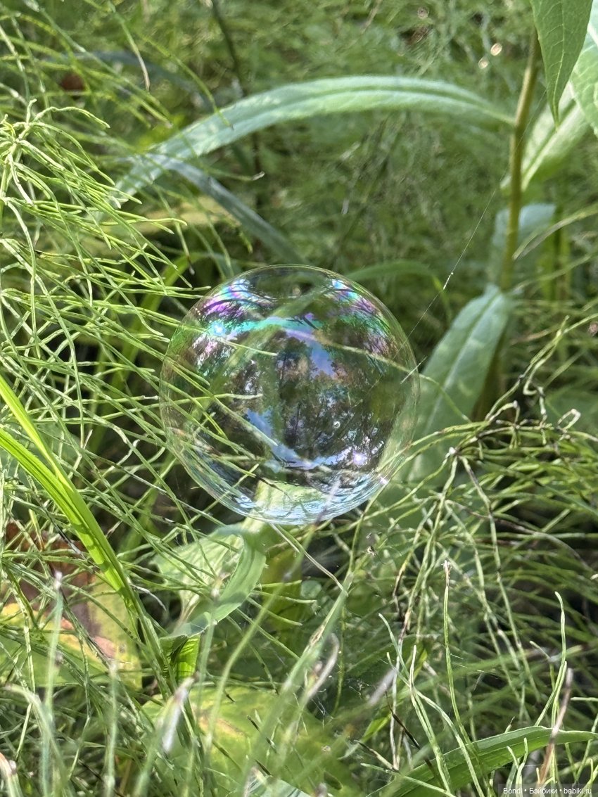 Прогулка с новенькими от studiо uoo в лесу