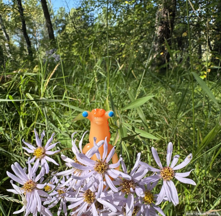 Прогулка с новенькими от studiо uoo в лесу (фото 3)