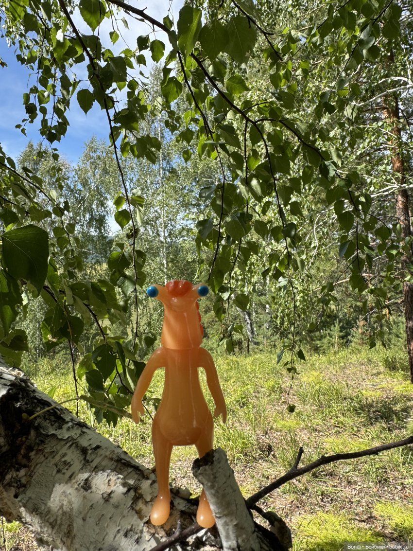 Прогулка с новенькими от studiо uoo в лесу