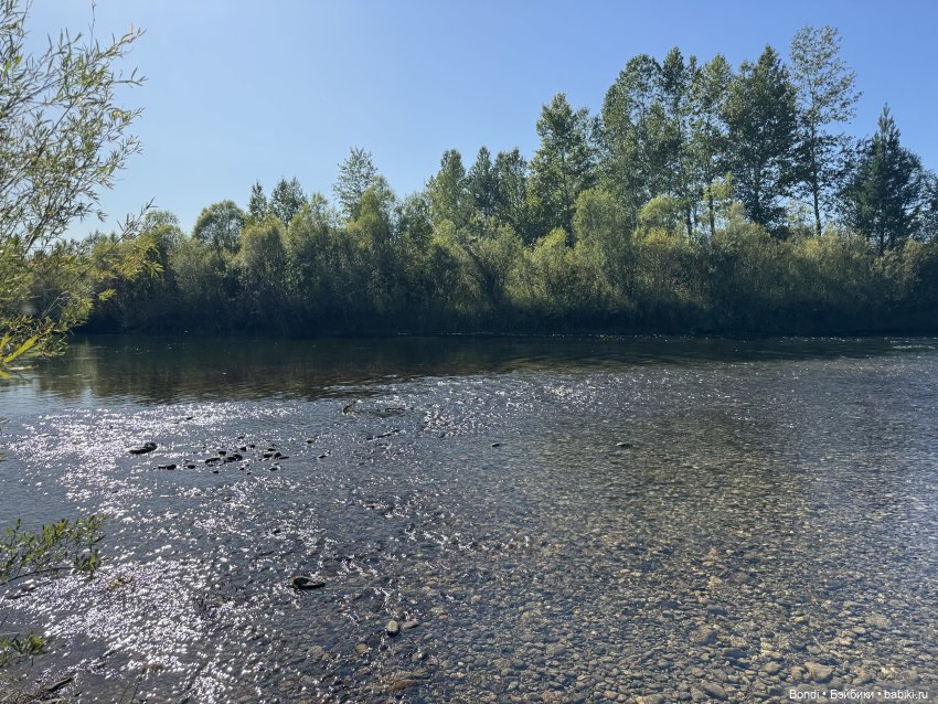 Прогулка с новенькими от studiо uoo в лесу