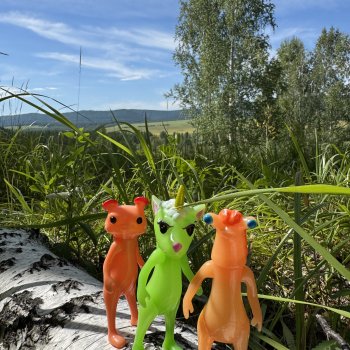 Прогулка с новенькими от studiо uoo в лесу.