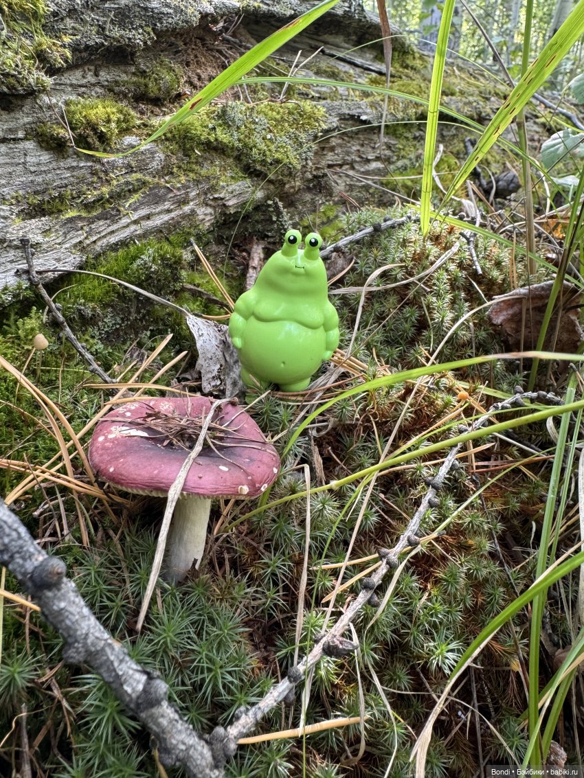 Шпинат и грибной дождь🤪 — Коллекционные фигурки (разное): животные