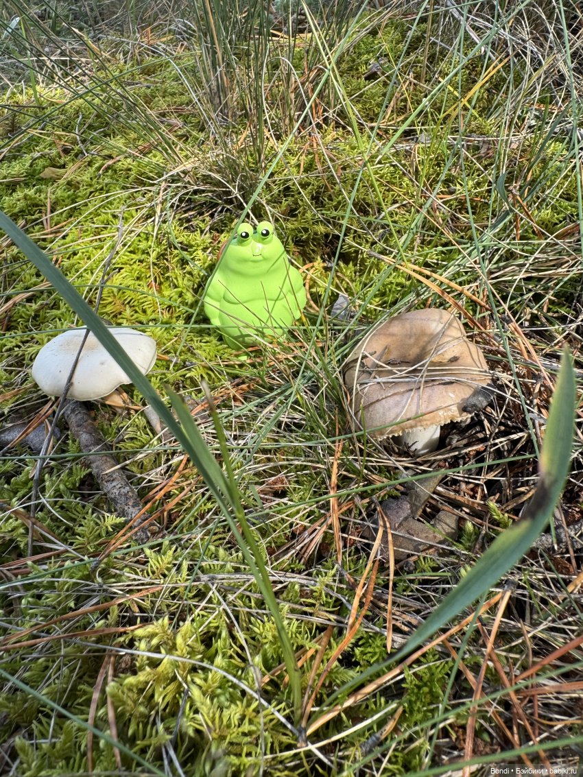 Шпинат и грибной дождь🤪 — Коллекционные фигурки (разное): животные (фото 3)