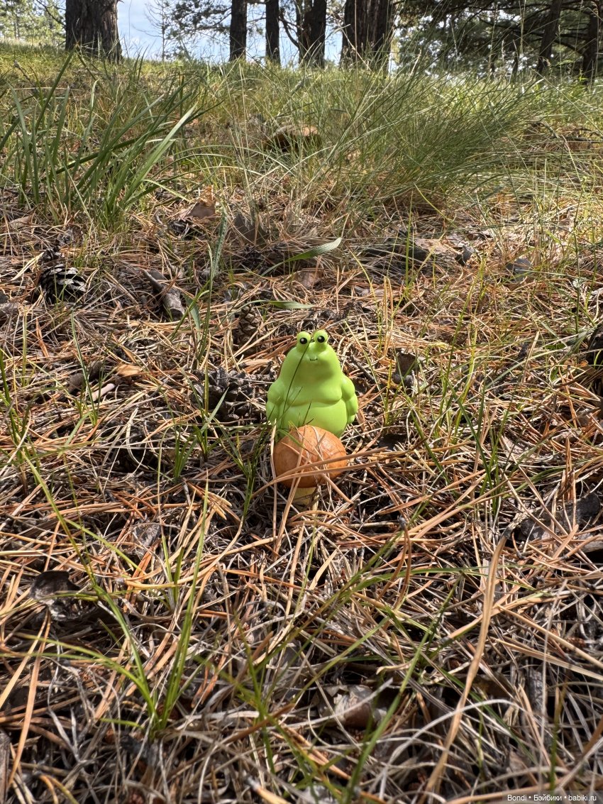 Шпинат и грибной дождь🤪 — Коллекционные фигурки (разное): животные (фото 9)