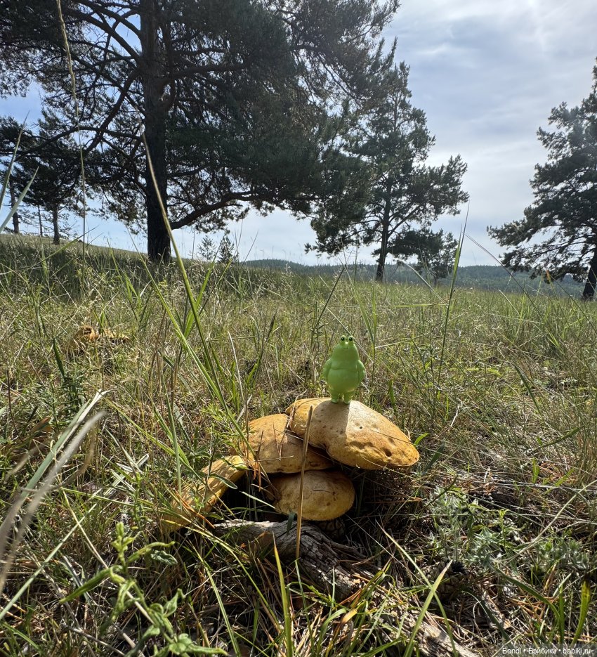 Шпинат и грибной дождь🤪 — Коллекционные фигурки (разное): животные (фото 2)