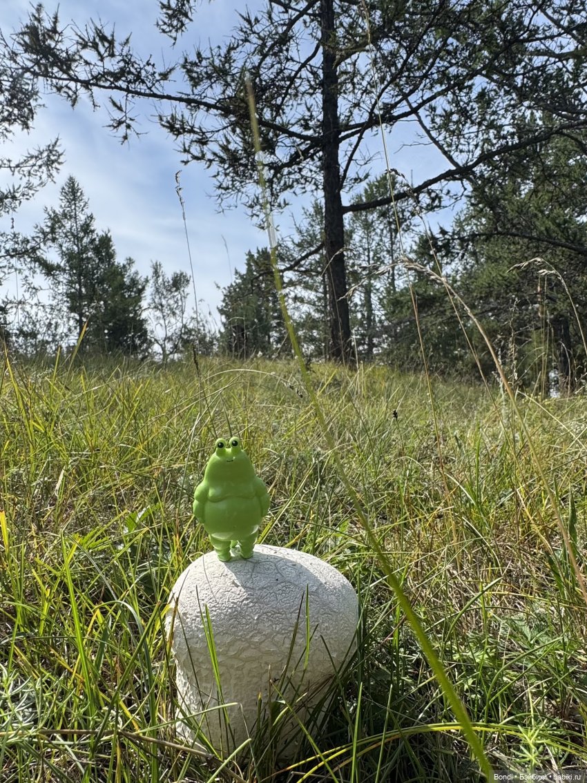 Шпинат и грибной дождь🤪 — Коллекционные фигурки (разное): животные (фото 4)