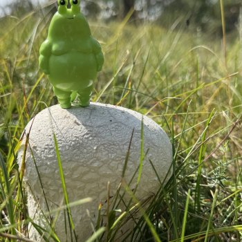 Шпинат и грибной дождь🤪