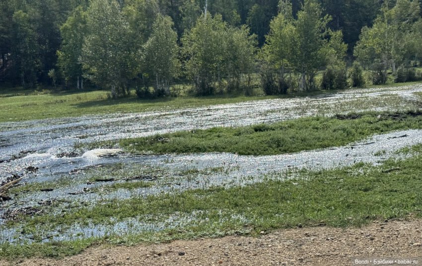 Мраморный карьер и 🐌 — Интересное и необычное: фотоподборки