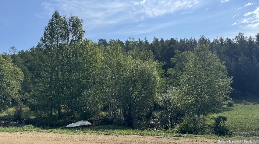 Мраморный карьер и 🐌 — Интересное и необычное: фотоподборки (фото 2)