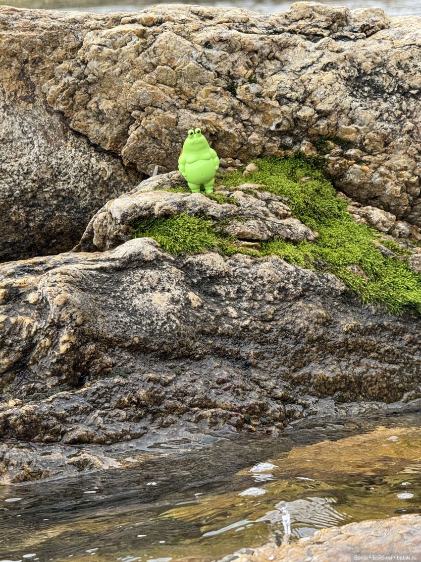 Шпинат и Грин Рей на Байкале😊 (фото 8)