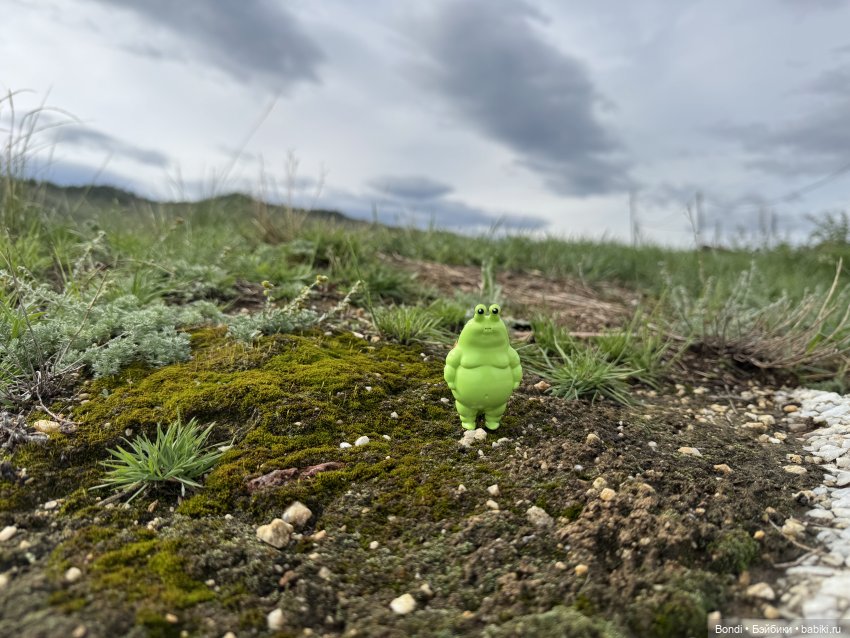 Шпинат и Грин Рей на Байкале😊 (фото 4)