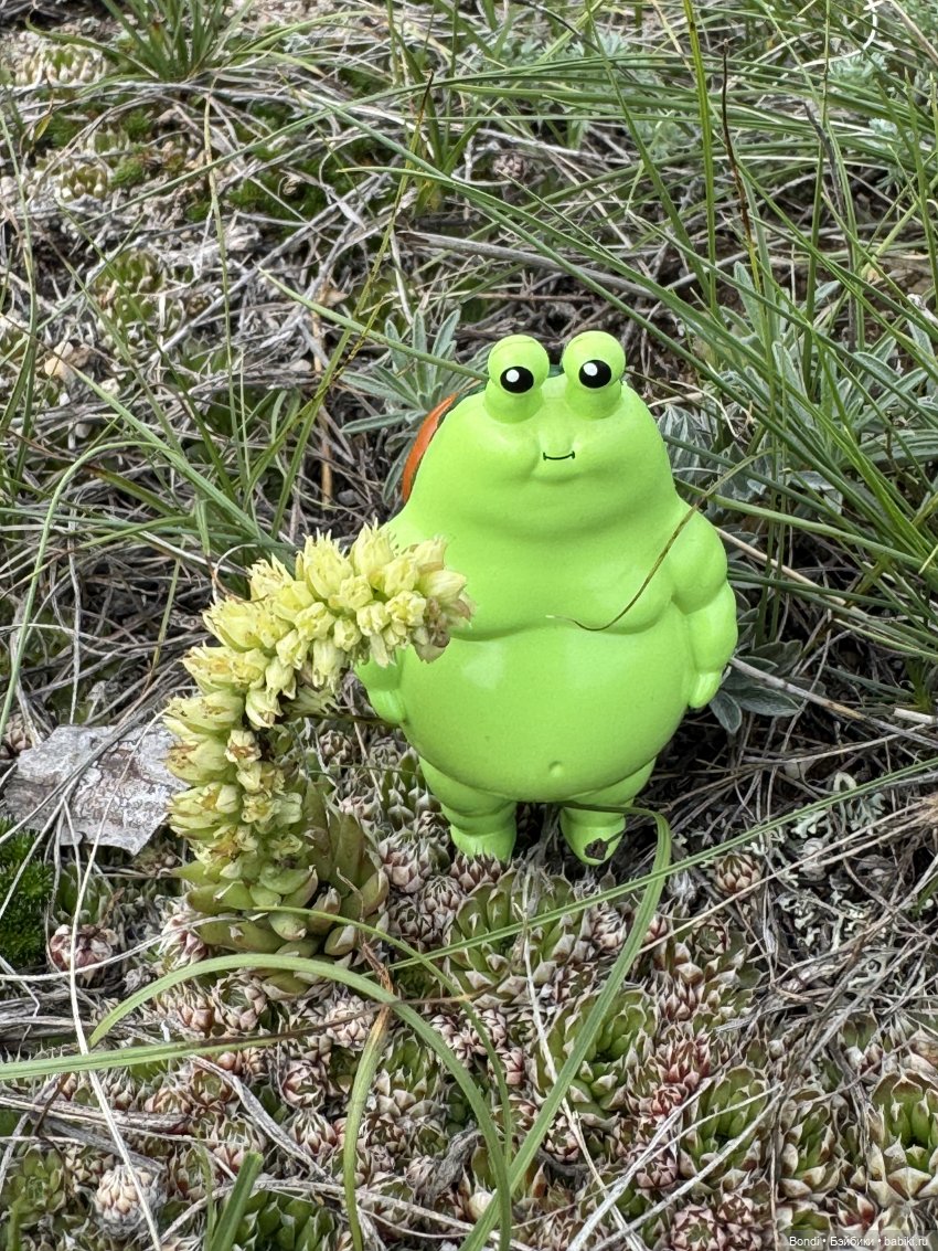 Шпинат и Грин Рей на Байкале😊 (фото 5)