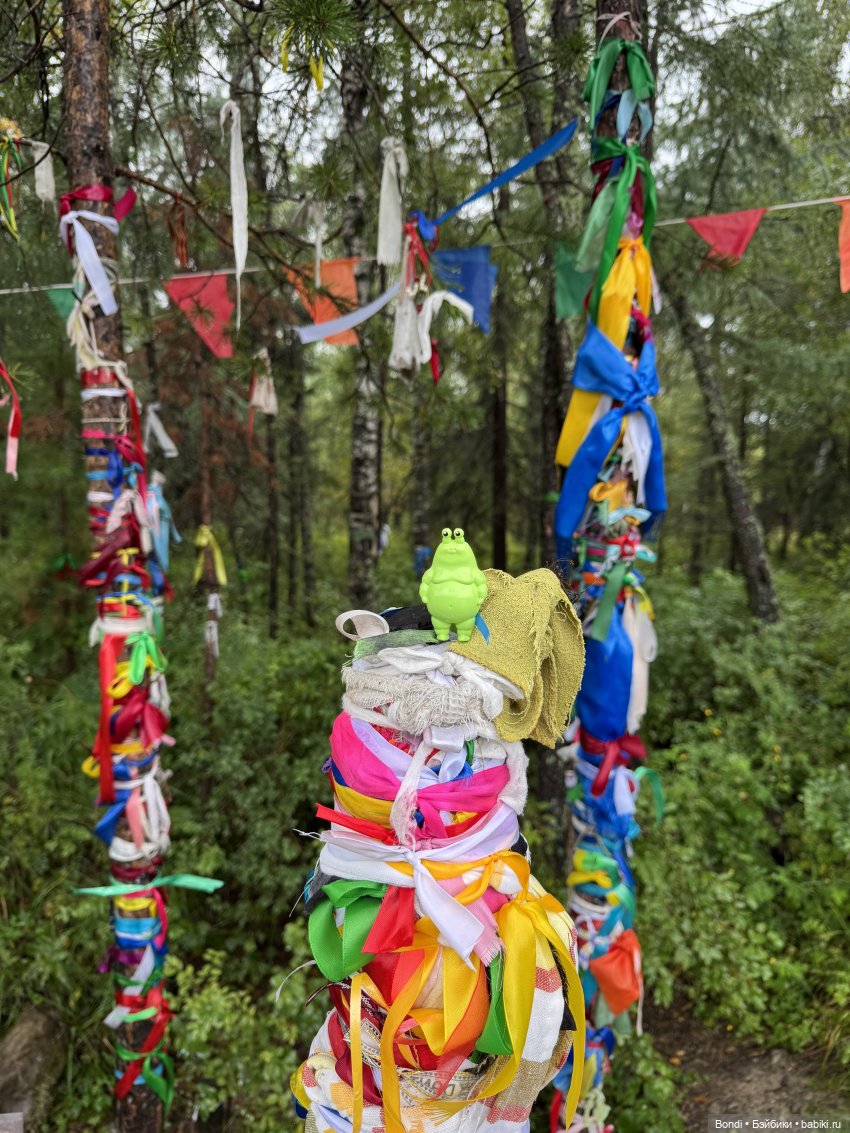 Шпинат и Грин Рей на Байкале😊 (фото 2)