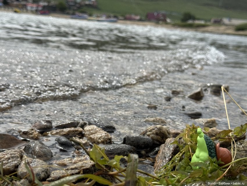 Шпинат и Грин Рей на Байкале😊 (фото 9)