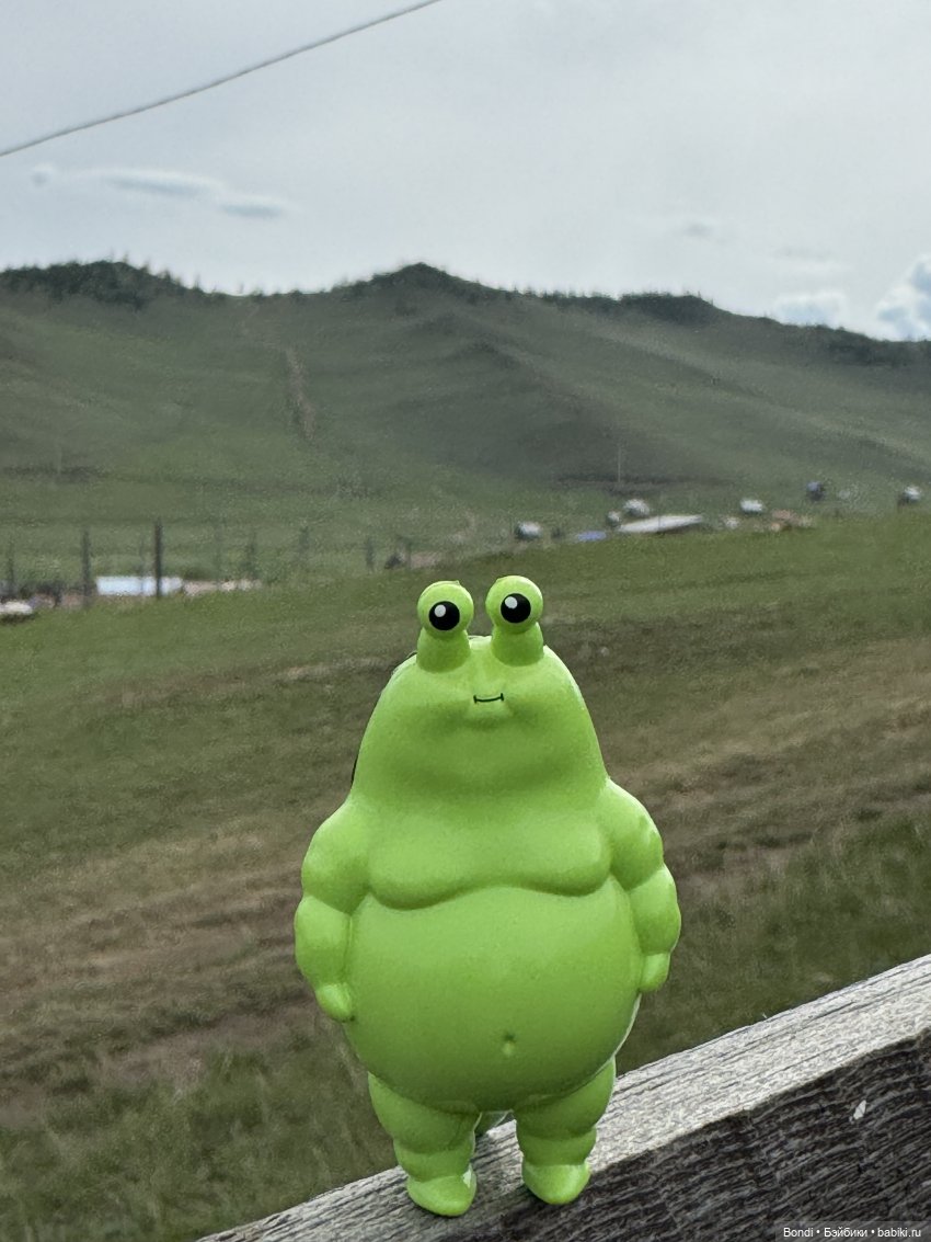 Шпинат и Грин Рей на Байкале😊