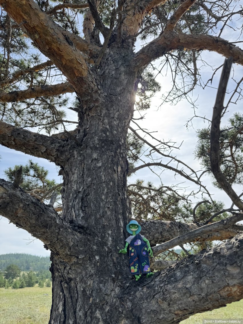 Шпинат и Грин Рей на Байкале😊