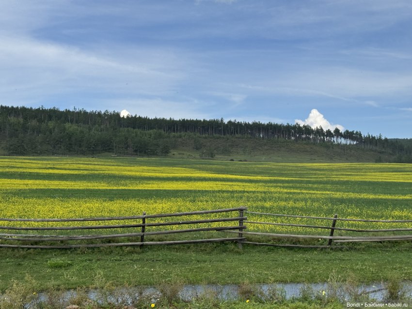 Фото природы около озера Байкал