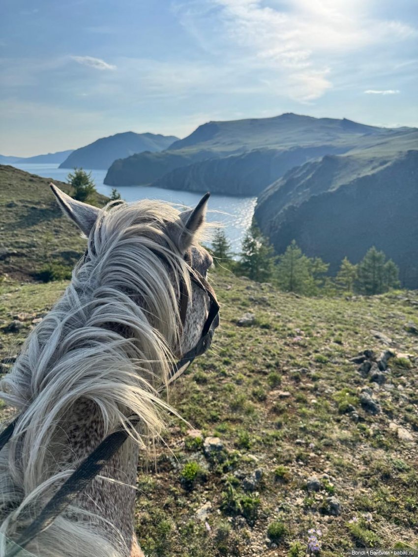Фото природы около озера Байкал (фото 10)