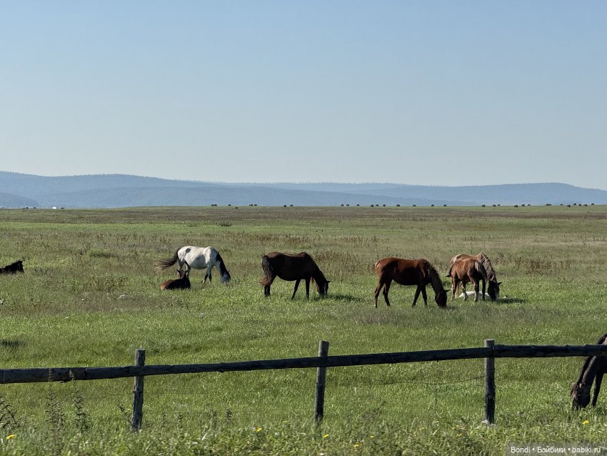 Фото природы около озера Байкал