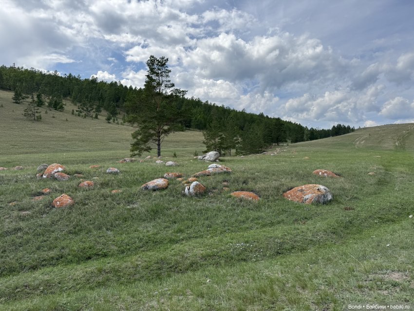 Фото природы около озера Байкал (фото 5)