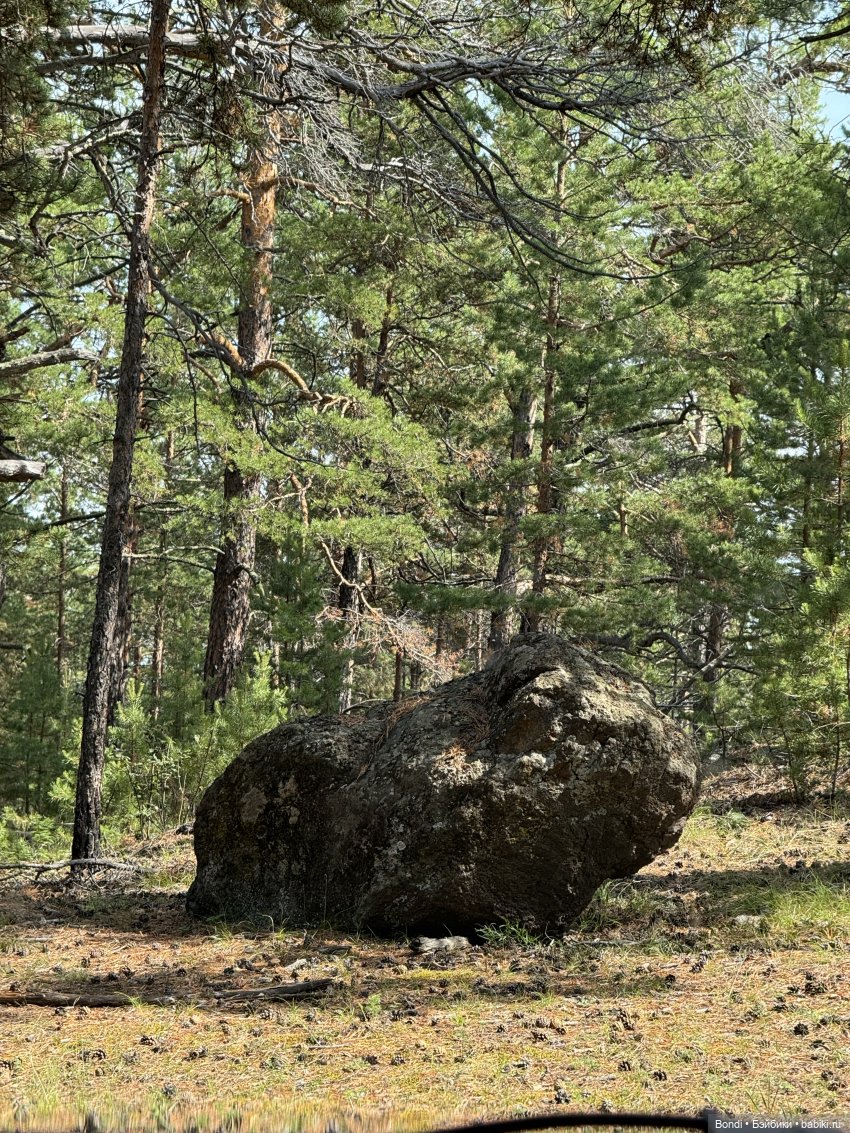 Фото природы около озера Байкал