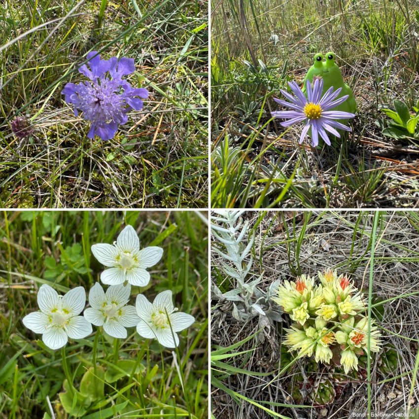 Фото природы около озера Байкал