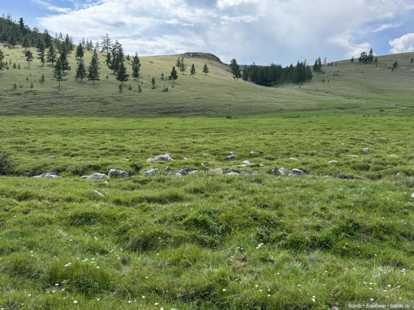 Фото природы около озера Байкал (фото 7)