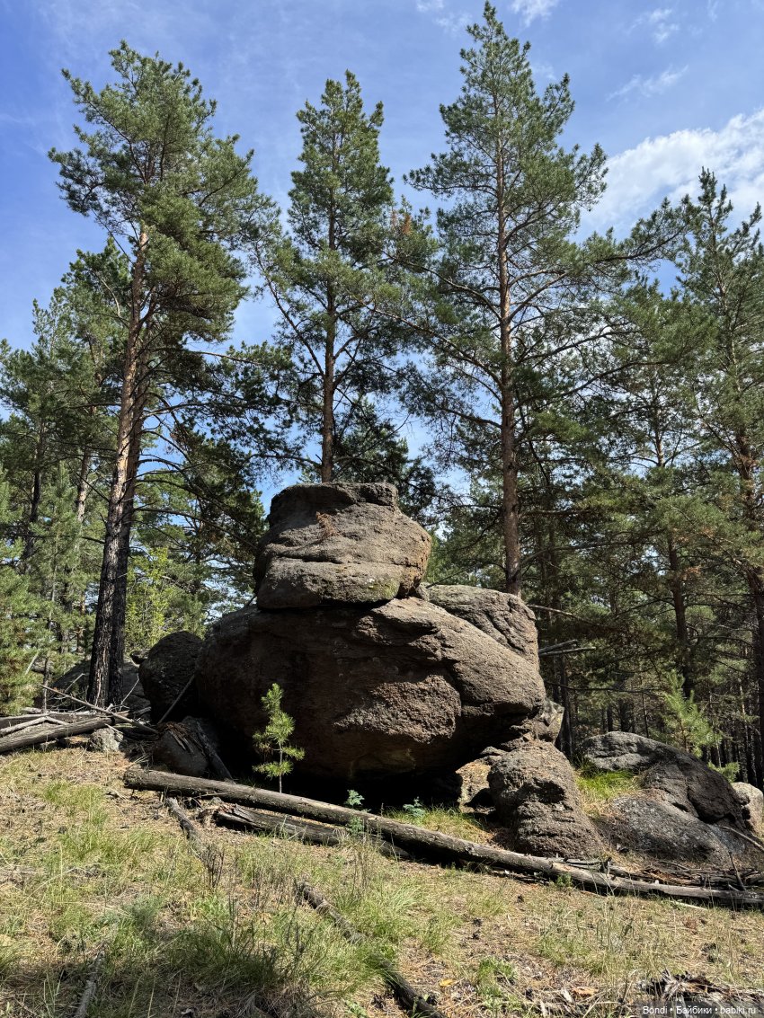 Фото природы около озера Байкал
