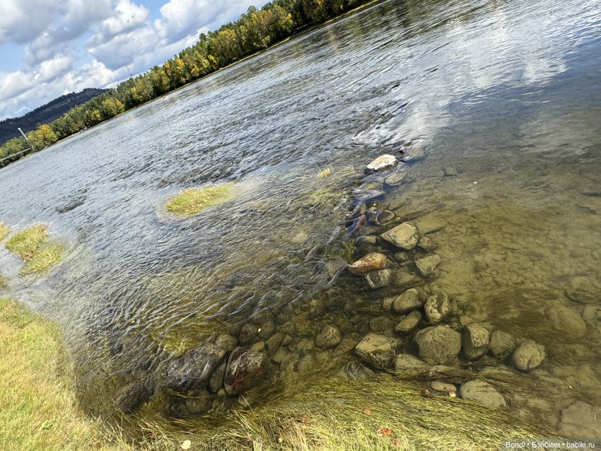 Прогулка на подвесном мосту над рекой Иркут пос.Шаманка (фото 10)