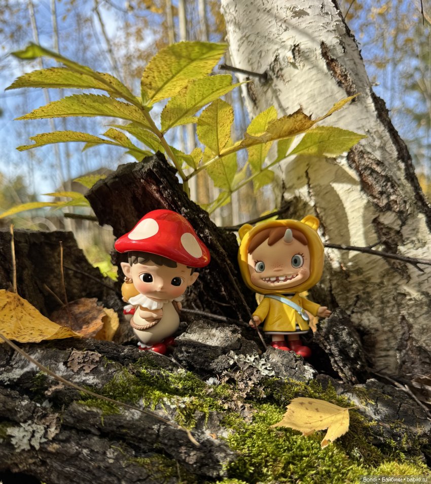 Осенние фото фигурок. 🍁🍂 — Фигурки Pop Mart (Поп Март): Blind Box